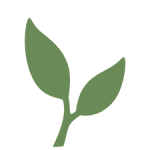 The Development Fund (DF) of Norway