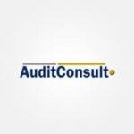 Audit Consult (On behalf of an NGO)