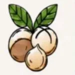 Caire Macs Ltd