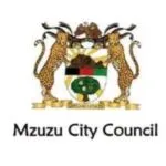 Mzuzu City Council