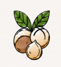 Caire Macs Ltd
