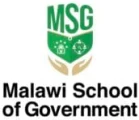 MSG